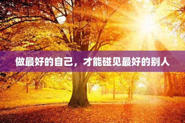 做最好的自己,才能碰见最好的别人