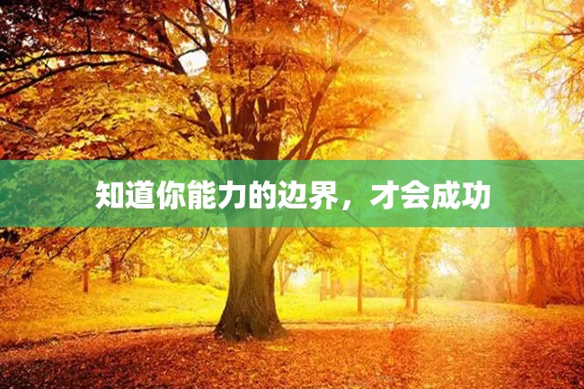 知道你能力的边界,才会成功