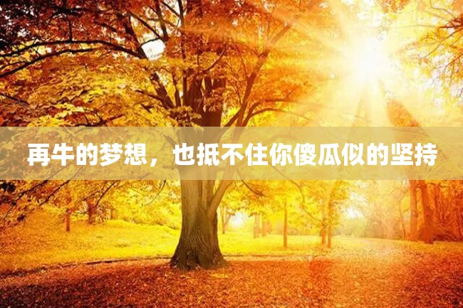 再牛的梦想,也抵不住你傻瓜似的坚持