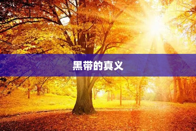黑带的真义