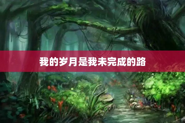 我的岁月是我未完成的路