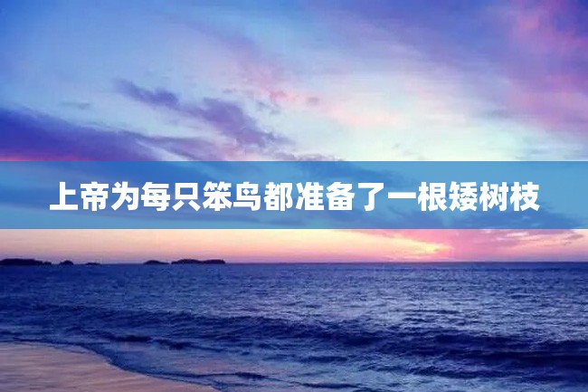 上帝为每只笨鸟都准备了一根矮树枝