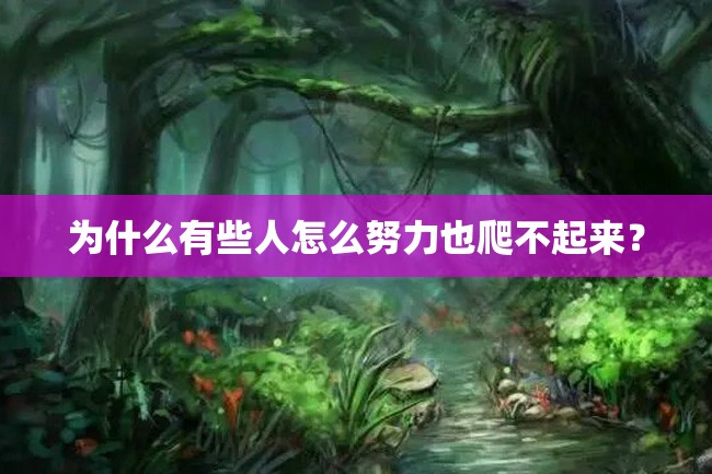为什么有些人怎么努力也爬不起来?