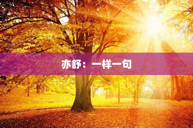 亦舒:一样一句