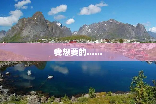 我想要的......