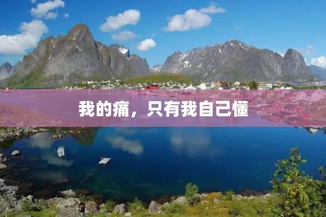 我的痛,只有我自己懂