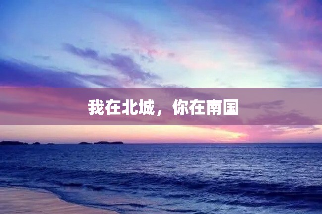 我在北城,你在南国