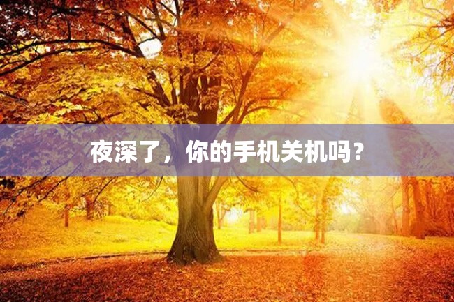 夜深了,你的手机关机吗?