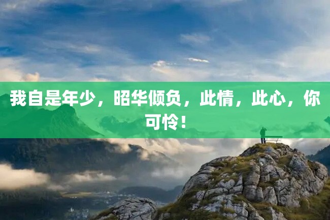 我自是年少,昭华倾负,此情,此心,你可怜!