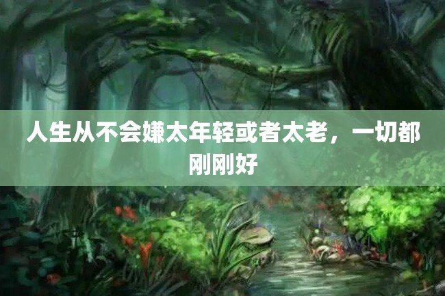 人生从不会嫌太年轻或者太老,一切都刚刚好