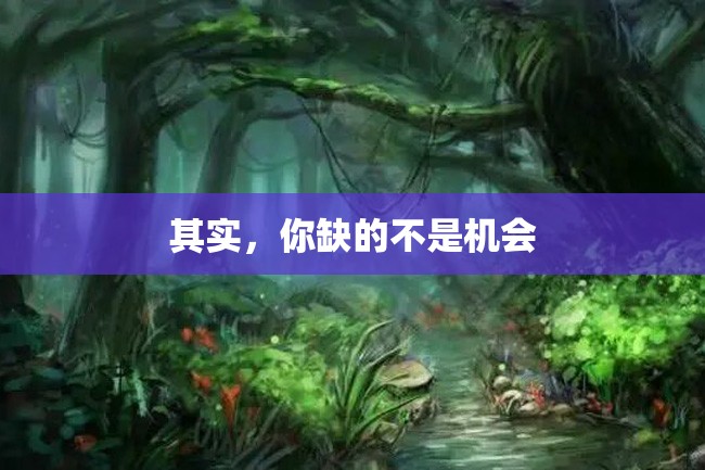 其实,你缺的不是机会