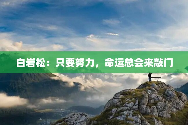 白岩松:只要努力,命运总会来敲门