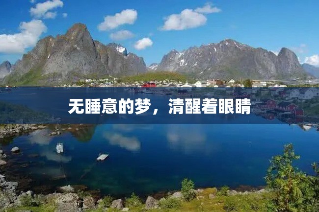 无睡意的梦,清醒着眼睛