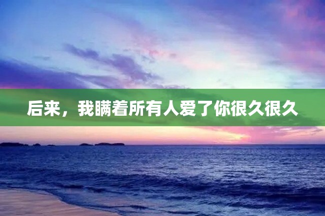 后来,我瞒着所有人爱了你很久很久