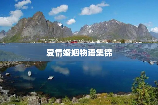 爱情婚姻物语集锦