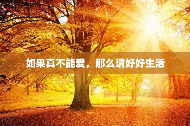 如果真不能爱,那么请好好生活