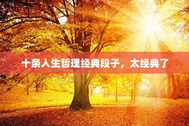 十条人生哲理经典段子,太经典了