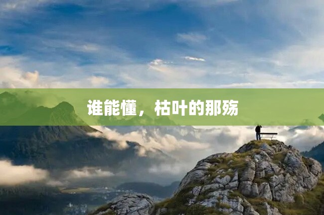 谁能懂,枯叶的那殇