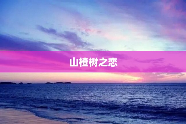 山楂树之恋