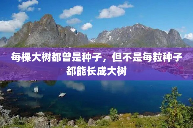 每棵大树都曾是种子,但不是每粒种子都能长成大树