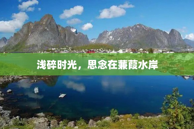 浅碎时光,思念在蒹葭水岸