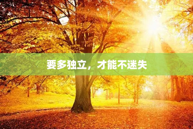 要多独立,才能不迷失
