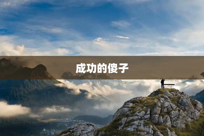 成功的傻子