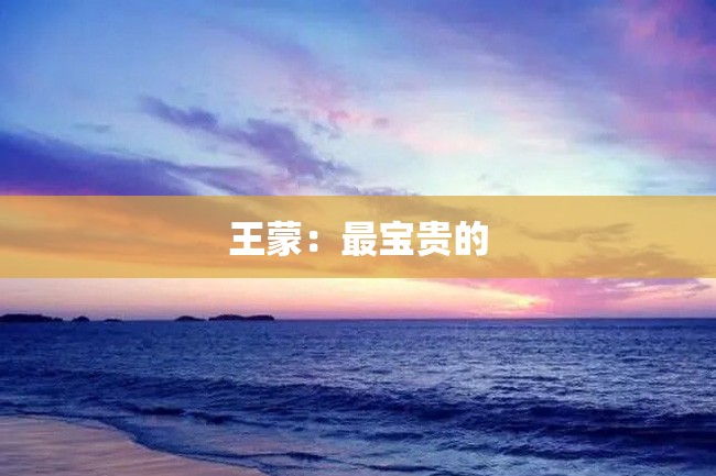 王蒙:最宝贵的