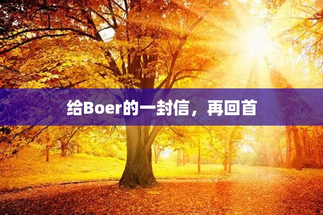 给Boer的一封信,再回首