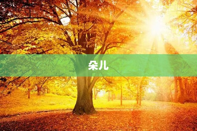 朵儿