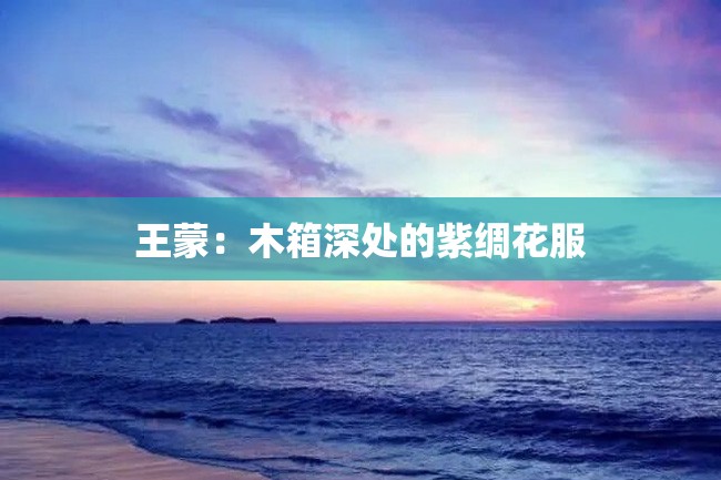 王蒙:木箱深处的紫绸花服