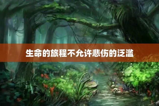 生命的旅程不允许悲伤的泛滥