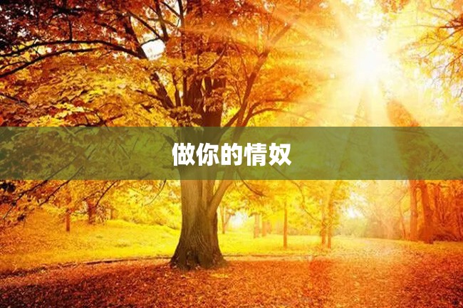 做你的情奴