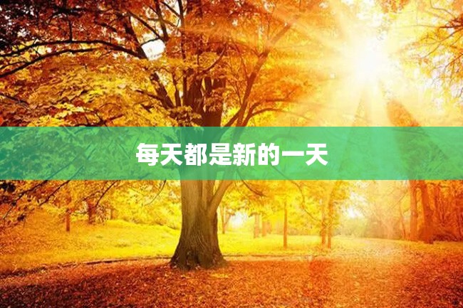 每天都是新的一天