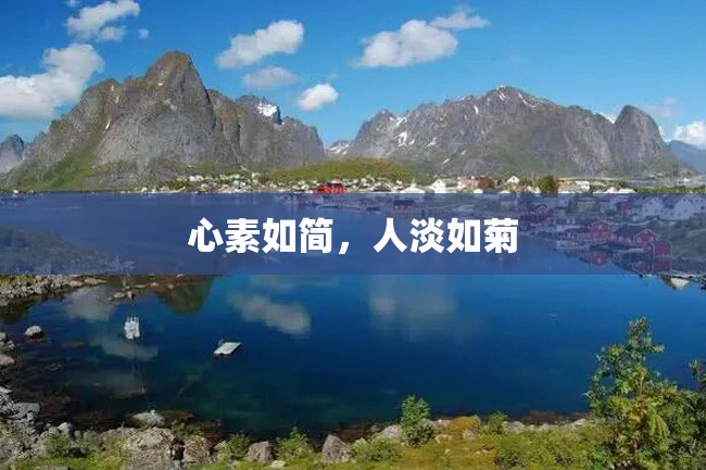 心素如简,人淡如菊