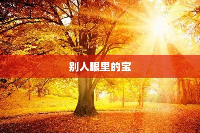 别人眼里的宝