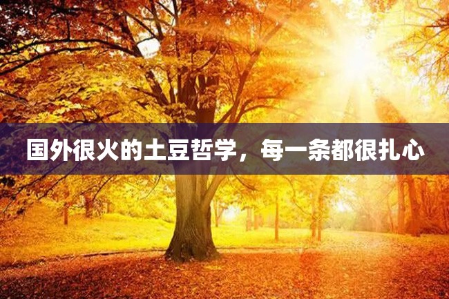 国外很火的土豆哲学,每一条都很扎心