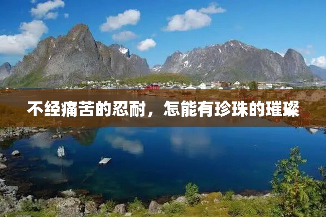 不经痛苦的忍耐,怎能有珍珠的璀璨