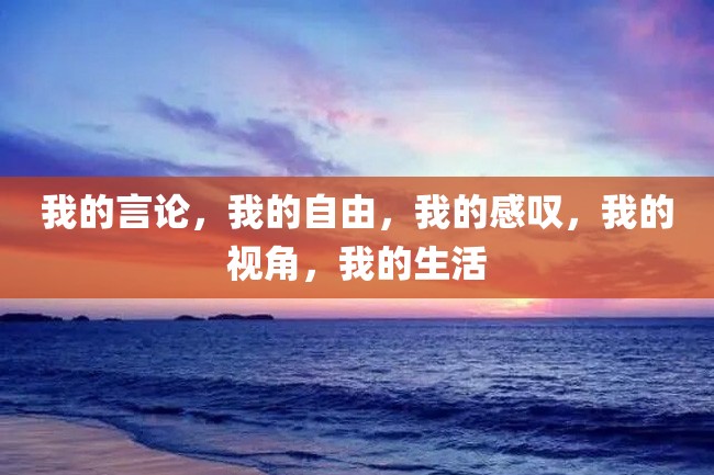 我的言论,我的自由,我的感叹,我的视角,我的生活