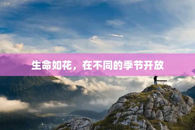 生命如花,在不同的季节开放