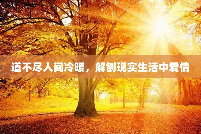 道不尽人间冷暖,解刨现实生活中爱情