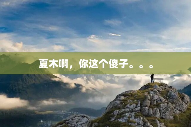 夏木啊,你这个傻子。。。