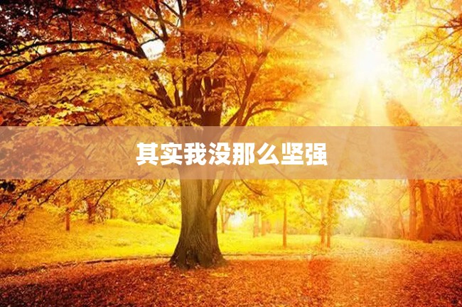 其实我没那么坚强