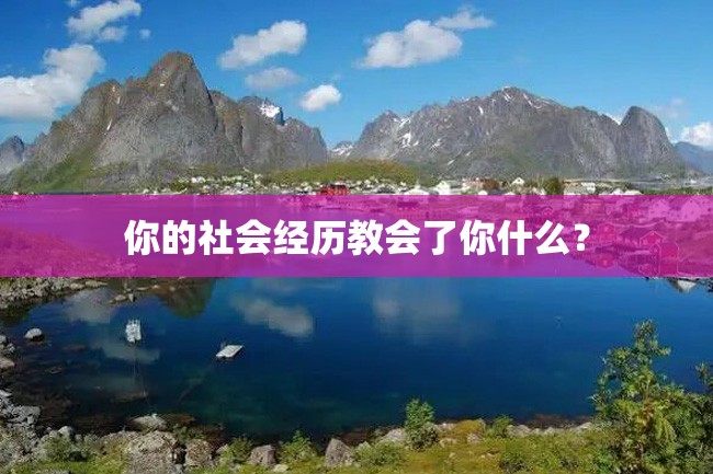 你的社会经历教会了你什么?