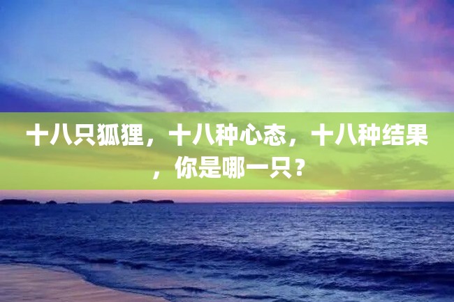 十八只狐狸,十八种心态,十八种结果,你是哪一只?