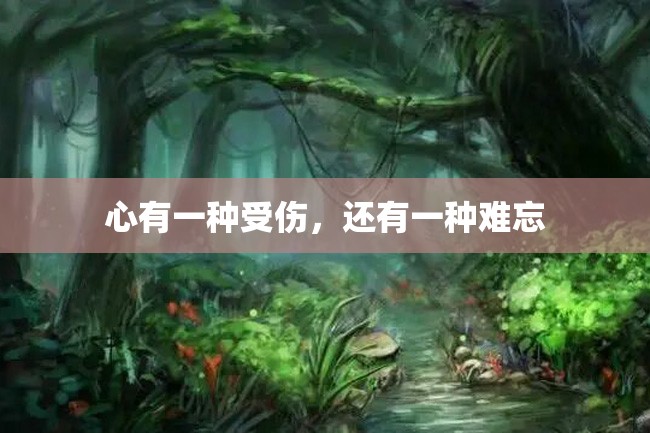 心有一种受伤,还有一种难忘