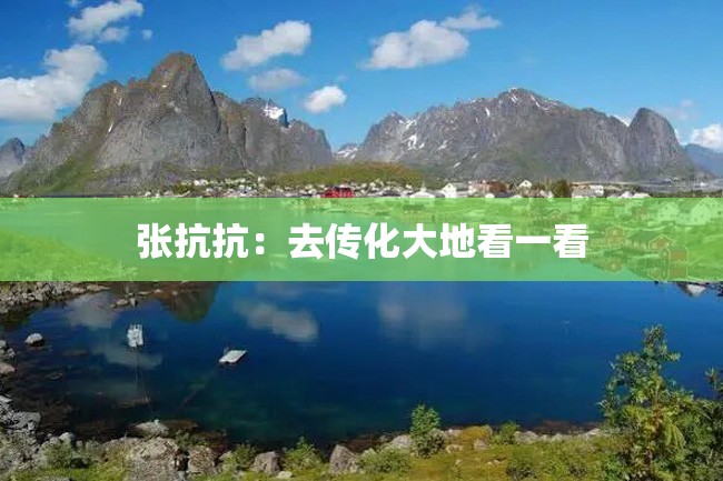 张抗抗:去传化大地看一看