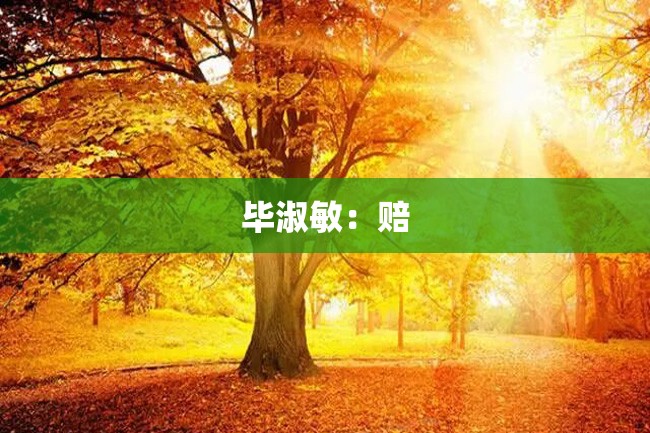 毕淑敏:赔