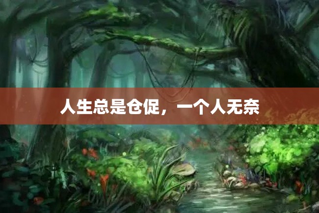 人生总是仓促,一个人无奈
