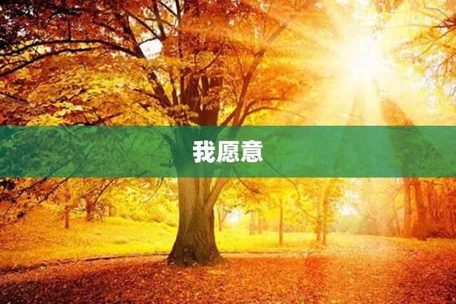 我愿意
